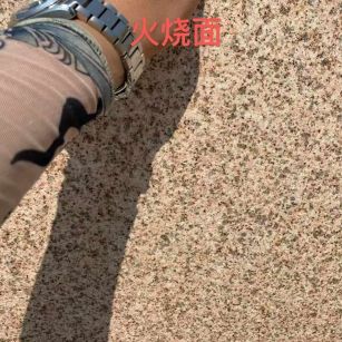 鹤壁黄金麻火烧面