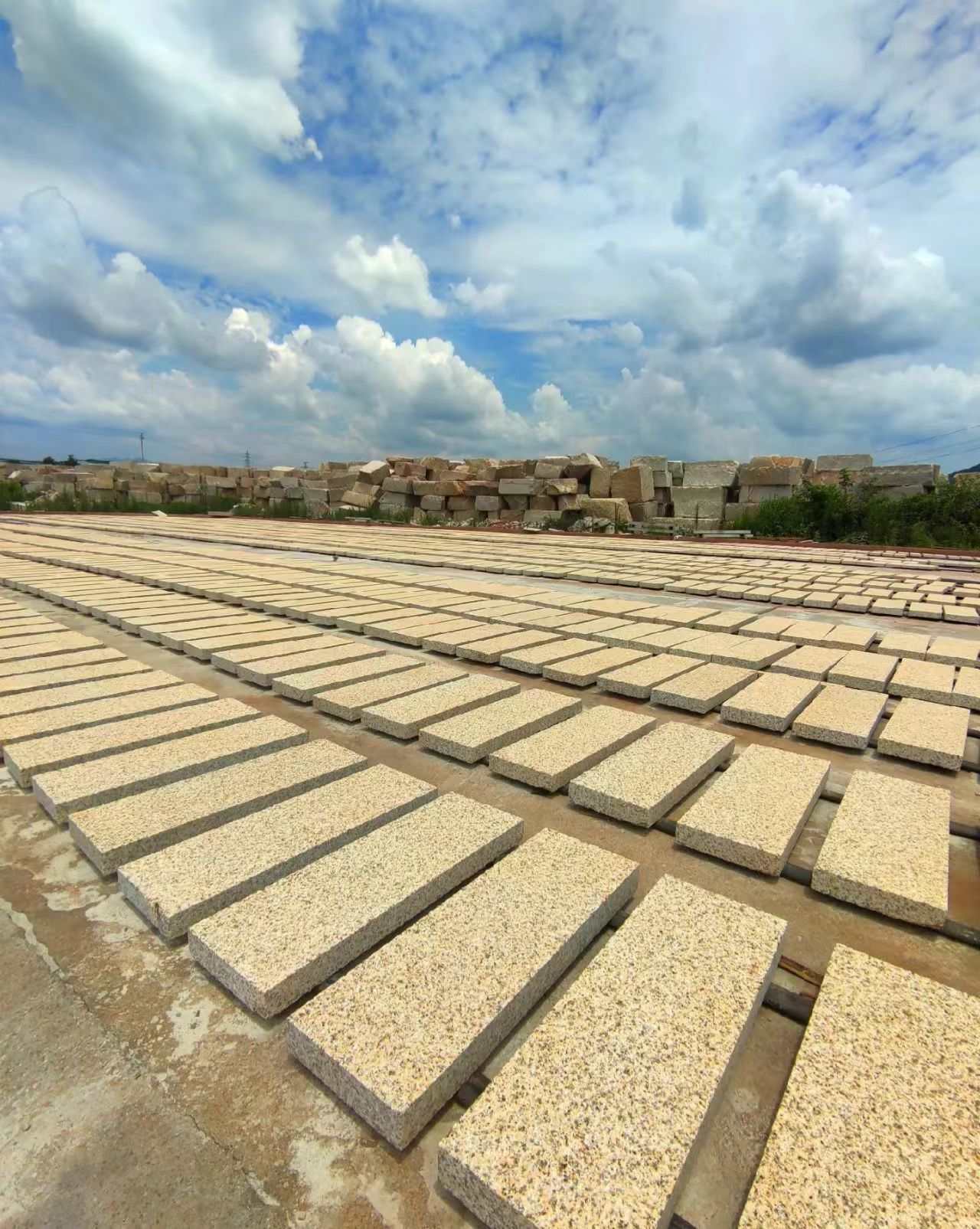 鹤壁 黄金麻花岗岩荔枝面地铺石防护中